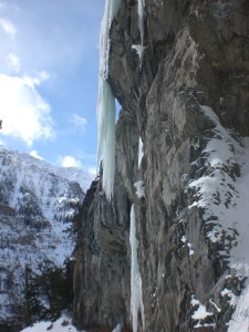 My kingdom for a Bosch! Mixed potential left of Bitch's Brew