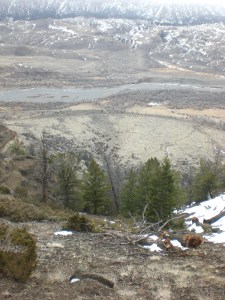 Looking back at the road from the half-way point on the walk up.