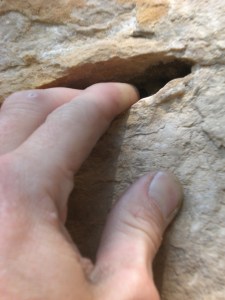 Like it was made to be climbed...