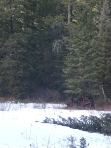 Prospectors' abandoned equipment up Mission Creek - they got skunked.