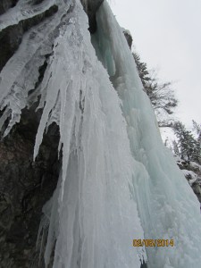 Left side of the Designator