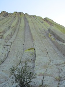 Second pitch of Tulgey Wood